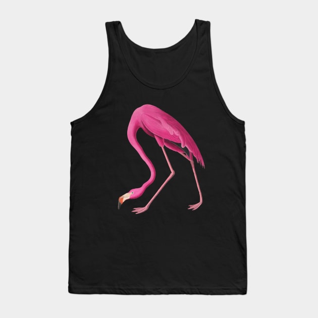 Hot Pink Flamingo Vintage Bird Art Tank Top by Scarebaby